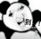 《動(dòng)物：森林法則》：我在這個(gè)9+游戲里被叫人機(jī)了？！丨樂玩獨(dú)家測(cè)評(píng)宣傳圖1