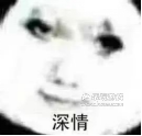 《動(dòng)物：森林法則》：我在這個(gè)9+游戲里被叫人機(jī)了？！丨樂玩獨(dú)家測(cè)評(píng)宣傳圖16