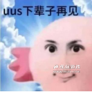 《動(dòng)物：森林法則》：我在這個(gè)9+游戲里被叫人機(jī)了？！丨樂玩獨(dú)家測(cè)評(píng)宣傳圖24