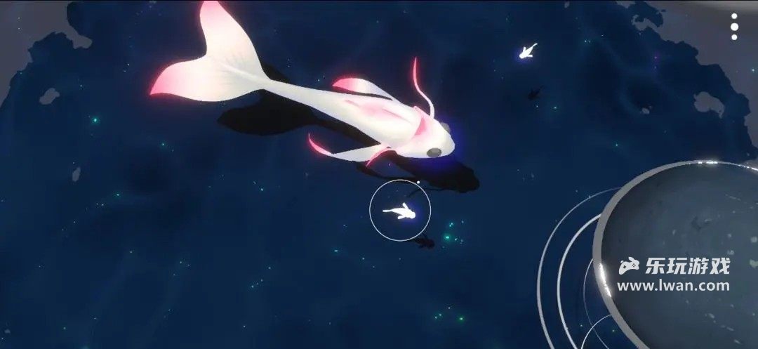 鯉 重制版3