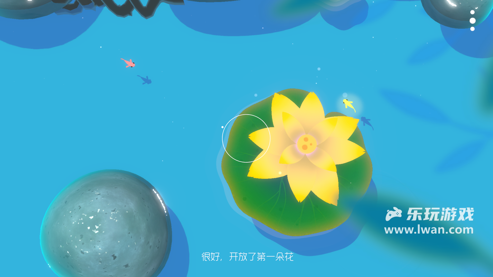 鯉 重制版3