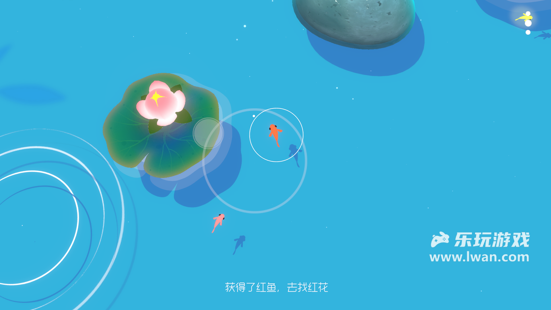 鯉 重制版4
