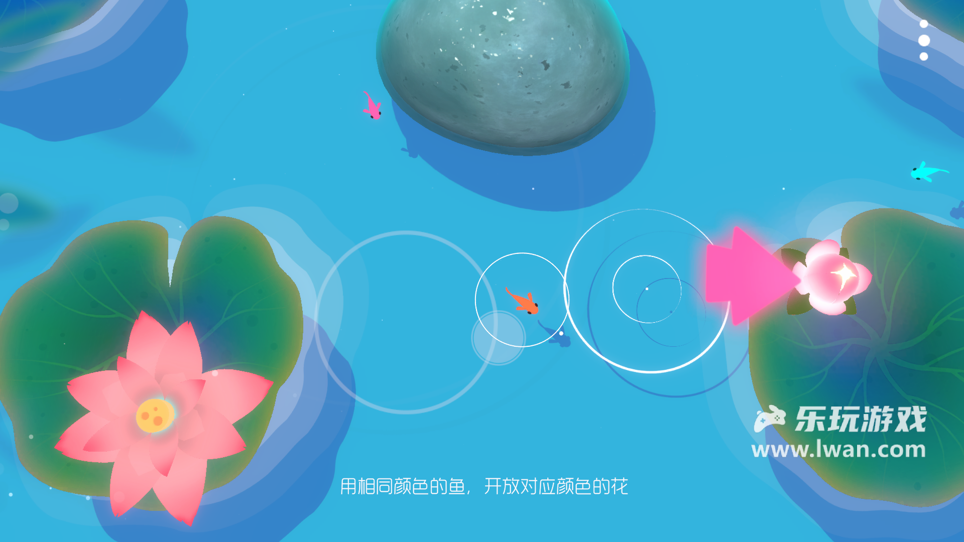鯉 重制版5