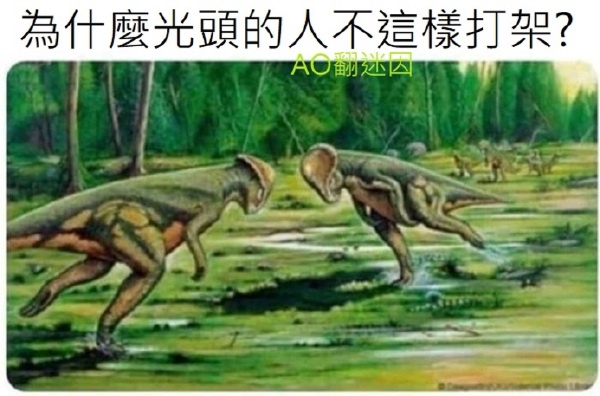 今日沙雕：“已經(jīng)救不活了”醫(yī)生在病人身上夾了塊肉品嘗后嘆氣道宣傳圖18