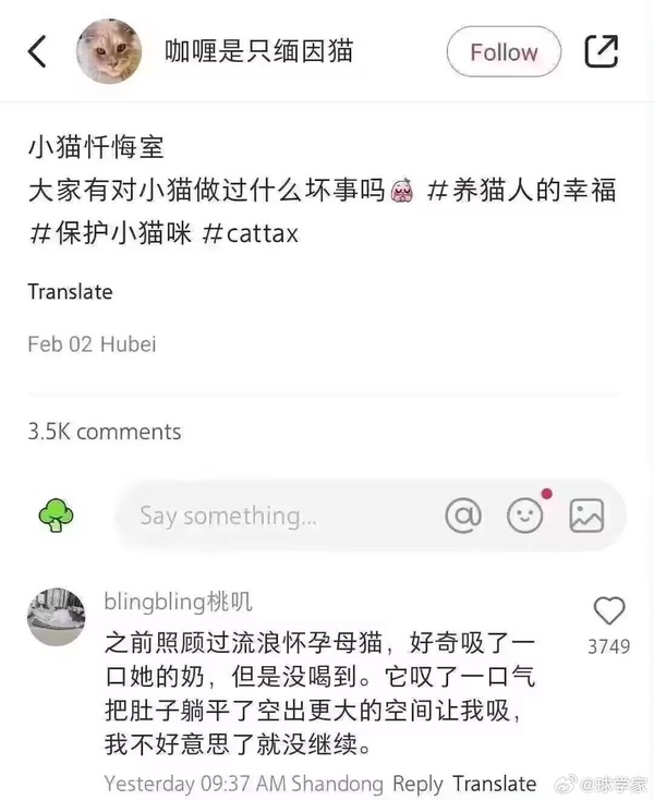 今日沙雕：“已經(jīng)救不活了”醫(yī)生在病人身上夾了塊肉品嘗后嘆氣道宣傳圖27
