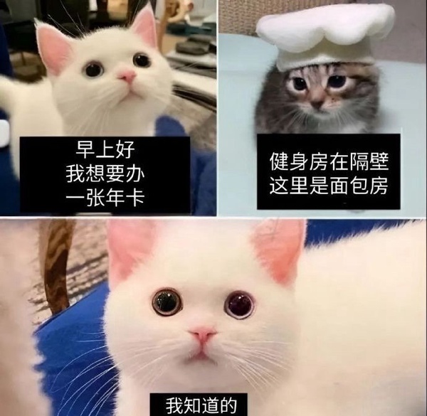 今日沙雕：“已經(jīng)救不活了”醫(yī)生在病人身上夾了塊肉品嘗后嘆氣道宣傳圖54