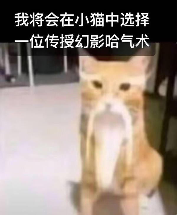 今日沙雕：一個(gè)小孩喜歡上了另外一個(gè)小孩，這算不算戀童癖宣傳圖68