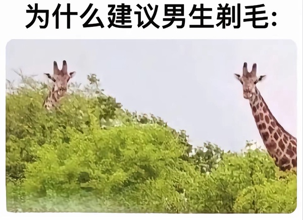 今日沙雕：我都把電腦搬到客廳了，為什么還顯示空間不足？宣傳圖25