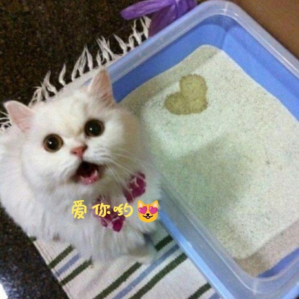 今日沙雕： 每天堅持去醫(yī)院給植物人澆水有一天給澆醒了算非法行醫(yī)嗎？宣傳圖27