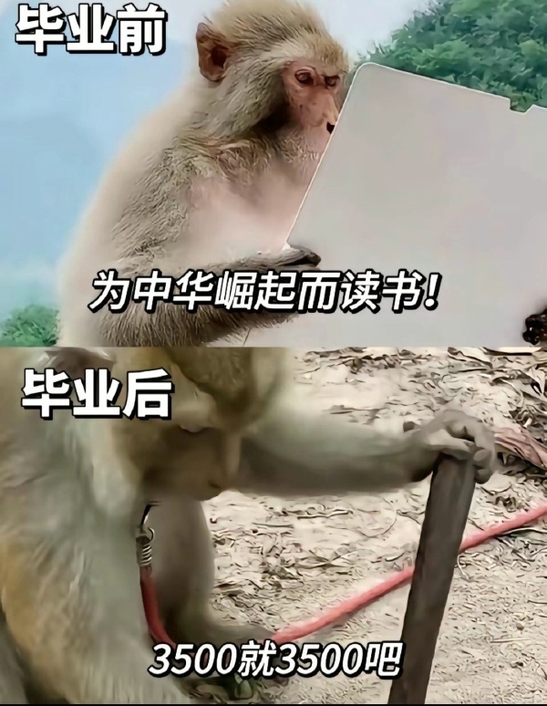 今日沙雕： 每天堅持去醫(yī)院給植物人澆水有一天給澆醒了算非法行醫(yī)嗎？宣傳圖46