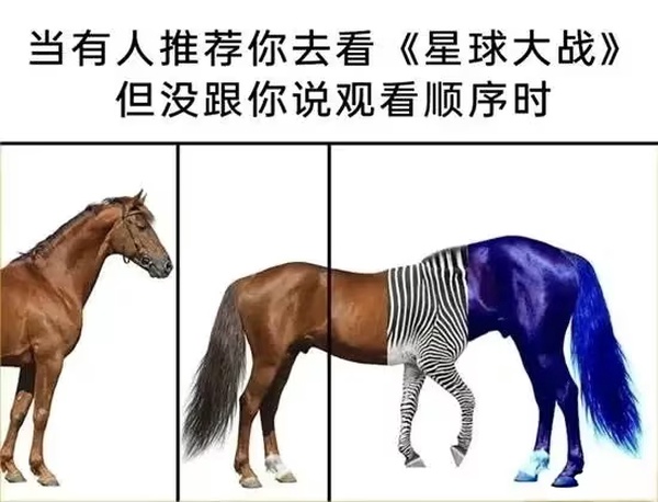 今日沙雕： 每天堅持去醫(yī)院給植物人澆水有一天給澆醒了算非法行醫(yī)嗎？宣傳圖53