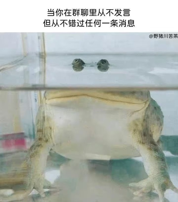 今日沙雕： 每天堅持去醫(yī)院給植物人澆水有一天給澆醒了算非法行醫(yī)嗎？宣傳圖59