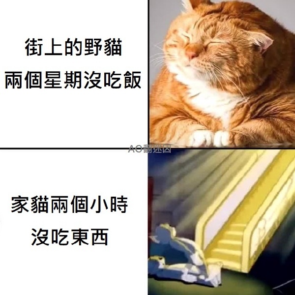 今日沙雕：我貸款把貸款公司買下來，是不是不用還貸款了宣傳圖4