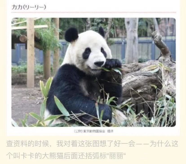 今日沙雕：我貸款把貸款公司買下來，是不是不用還貸款了宣傳圖38