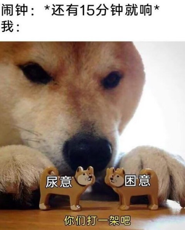 今日沙雕：我貸款把貸款公司買下來，是不是不用還貸款了宣傳圖60