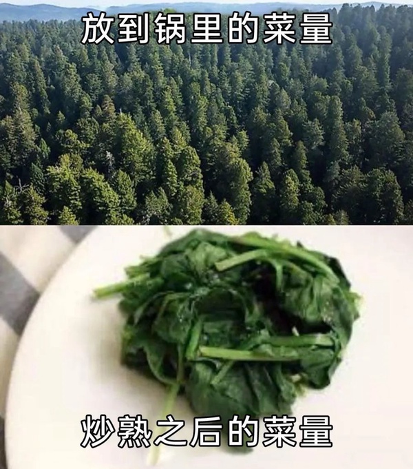 今日沙雕：我貸款把貸款公司買下來，是不是不用還貸款了宣傳圖79