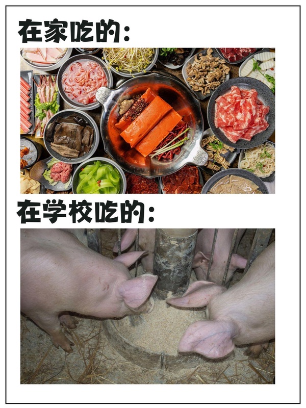 今日沙雕：我貸款把貸款公司買下來，是不是不用還貸款了宣傳圖87
