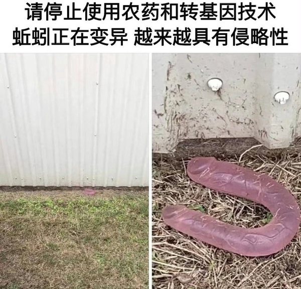 今日沙雕：我貸款把貸款公司買下來，是不是不用還貸款了宣傳圖88