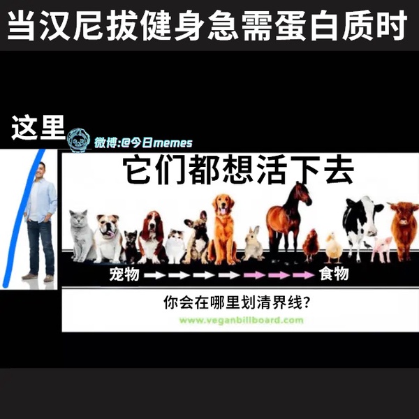 今日沙雕：我貸款把貸款公司買下來，是不是不用還貸款了宣傳圖92