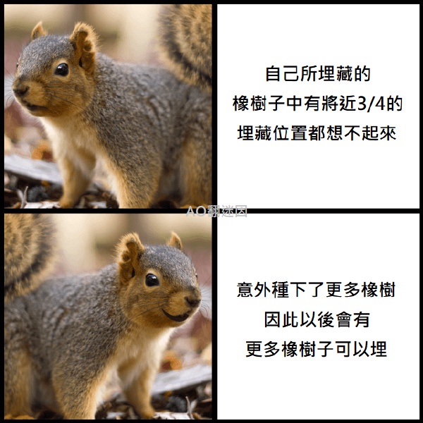 今日沙雕：人類這么智能，未來會(huì)不會(huì)把AI取代了？宣傳圖5