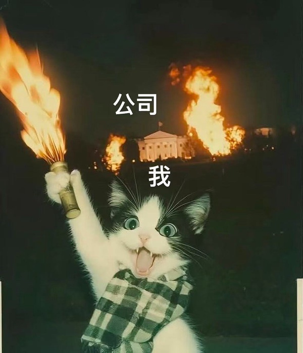 今日沙雕：人類這么智能，未來會(huì)不會(huì)把AI取代了？宣傳圖48