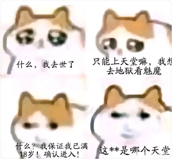 今日沙雕：人類這么智能，未來會(huì)不會(huì)把AI取代了？宣傳圖50