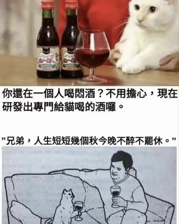 今日沙雕：人類這么智能，未來會(huì)不會(huì)把AI取代了？宣傳圖114