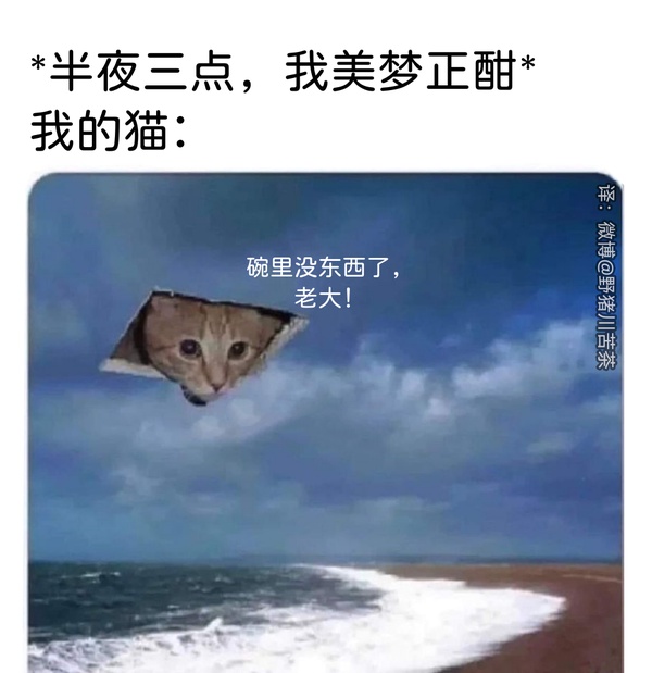 今日沙雕：人類這么智能，未來會(huì)不會(huì)把AI取代了？宣傳圖141