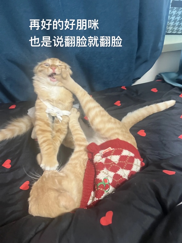 今日沙雕：盲人不是看不見的嗎，為什么我能看見宣傳圖15