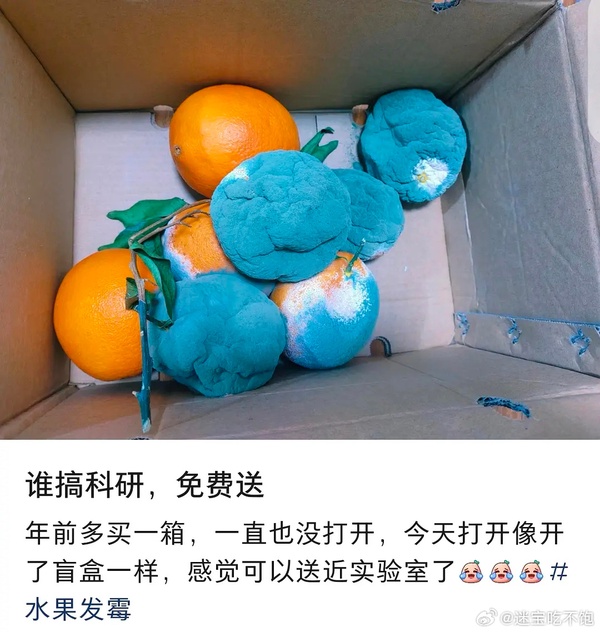 今日沙雕： 今天我?guī)痛蠹野压ぷ魅战o射下來了，明天大家休息宣傳圖16
