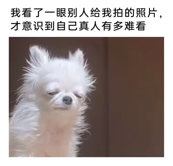 今日沙雕： 今天我?guī)痛蠹野压ぷ魅战o射下來了，明天大家休息宣傳圖43