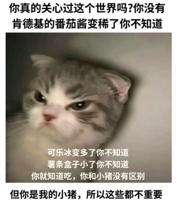 今日沙雕： 今天我?guī)痛蠹野压ぷ魅战o射下來了，明天大家休息宣傳圖63