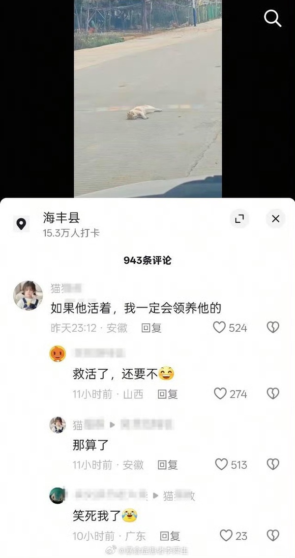 今日沙雕：很好奇一件事，啞巴該怎么罵瞎子宣傳圖60
