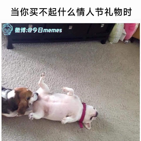 今日沙雕： 女老師捂人子弟竟導(dǎo)致班上同學(xué)萎靡不振成績(jī)變差宣傳圖59