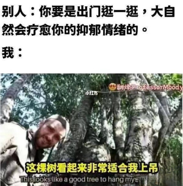 今日沙雕：吃飯不付錢叫霸王餐，那喝霸王茶姬為什么要花錢宣傳圖20