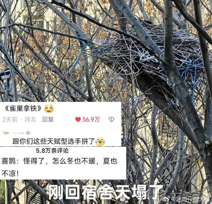 今日沙雕：吃飯不付錢叫霸王餐，那喝霸王茶姬為什么要花錢宣傳圖32
