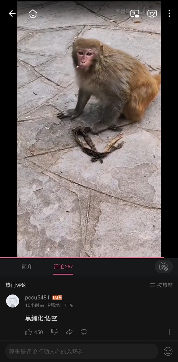 今日沙雕：“已經(jīng)救不活了”醫(yī)生在病人身上夾了塊肉品嘗后嘆氣道宣傳圖25