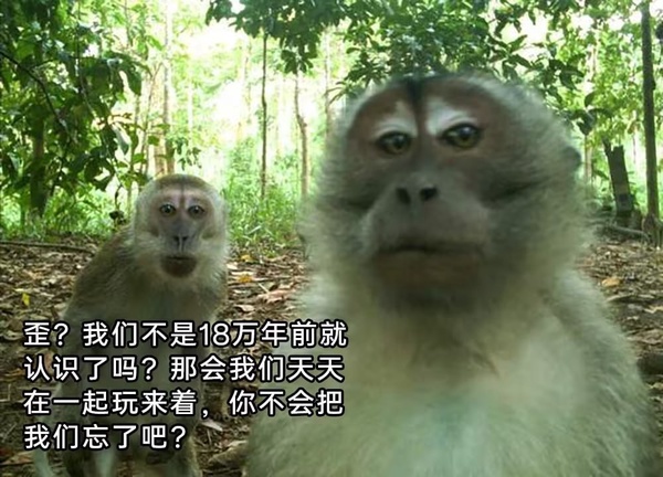 今日沙雕：“已經(jīng)救不活了”醫(yī)生在病人身上夾了塊肉品嘗后嘆氣道宣傳圖35