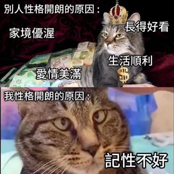 今日沙雕：“已經(jīng)救不活了”醫(yī)生在病人身上夾了塊肉品嘗后嘆氣道宣傳圖59
