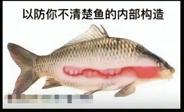今日沙雕：“已經(jīng)救不活了”醫(yī)生在病人身上夾了塊肉品嘗后嘆氣道宣傳圖76
