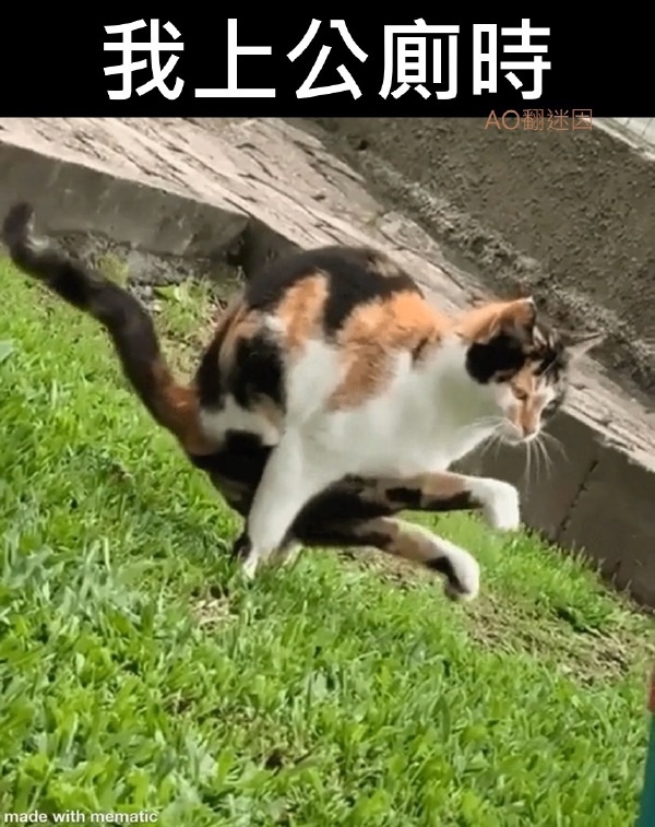 今日沙雕：楊戩睡醒先睜哪只眼？宣傳圖3