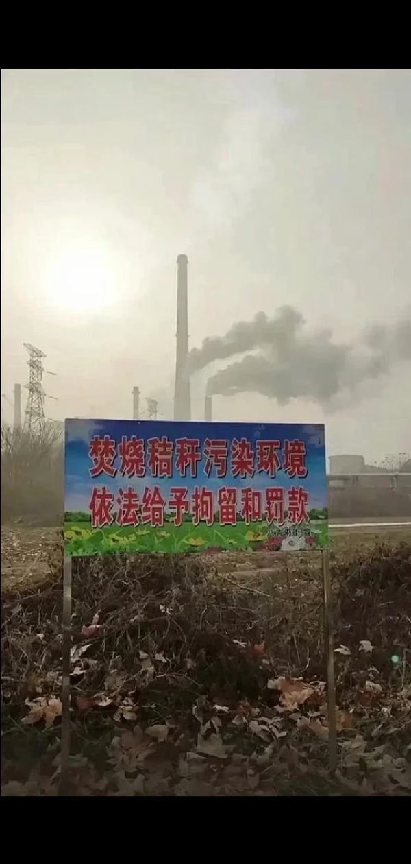 今日沙雕：楊戩睡醒先睜哪只眼？宣傳圖19