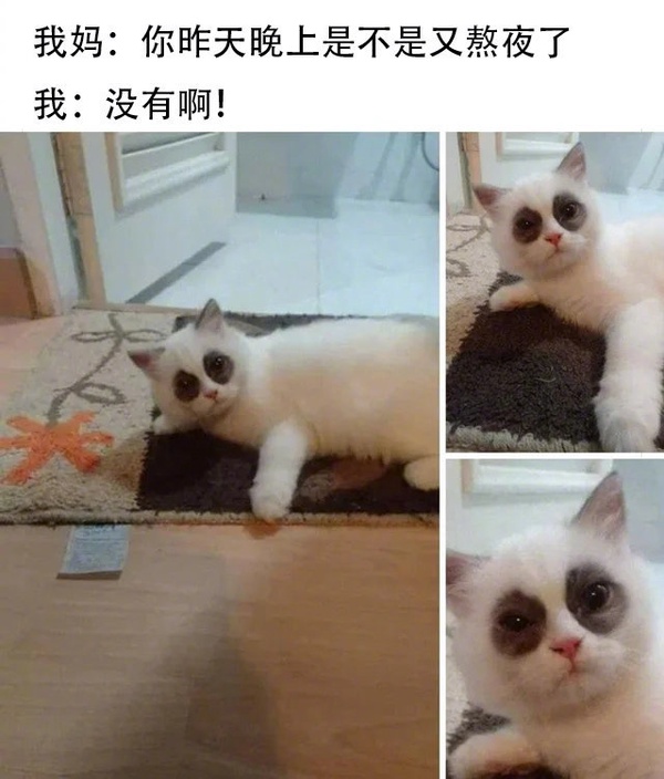 今日沙雕： 我要是閃電俠，去送外賣(mài)不得賺好多錢(qián)哇宣傳圖1