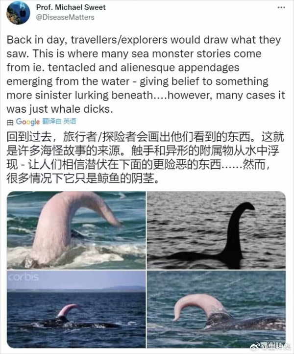 今日沙雕： 我要是閃電俠，去送外賣(mài)不得賺好多錢(qián)哇宣傳圖10