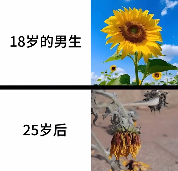 今日沙雕： 我要是閃電俠，去送外賣(mài)不得賺好多錢(qián)哇宣傳圖59