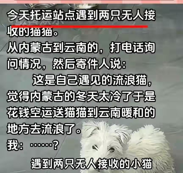 今日沙雕： 我要是閃電俠，去送外賣(mài)不得賺好多錢(qián)哇宣傳圖86