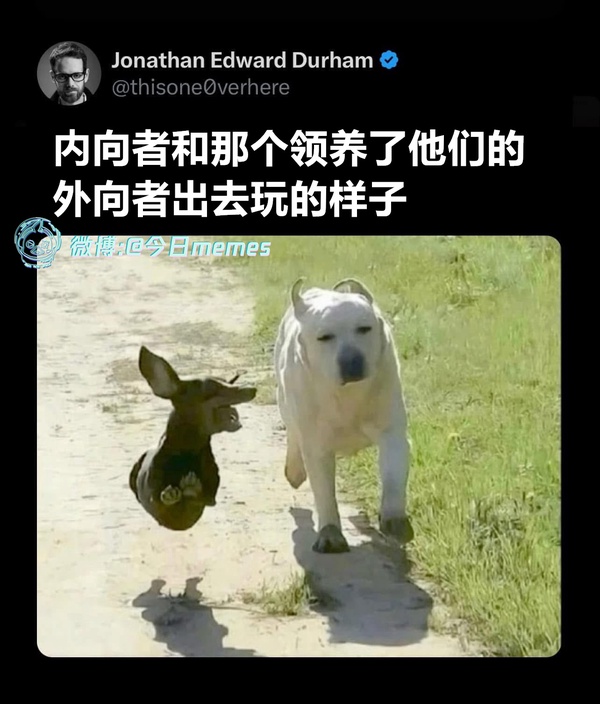 今日沙雕： 我要是閃電俠，去送外賣(mài)不得賺好多錢(qián)哇宣傳圖104