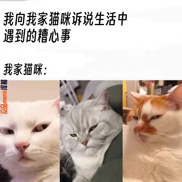 今日沙雕： 我要是閃電俠，去送外賣(mài)不得賺好多錢(qián)哇宣傳圖106