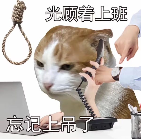 今日沙雕：第一個喝牛奶的人，是如何區(qū)分牛尿和牛奶的宣傳圖13