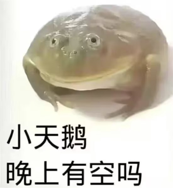 今日沙雕：第一個喝牛奶的人，是如何區(qū)分牛尿和牛奶的宣傳圖39